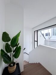 10 Evelyn (D11), Apartment #554408701